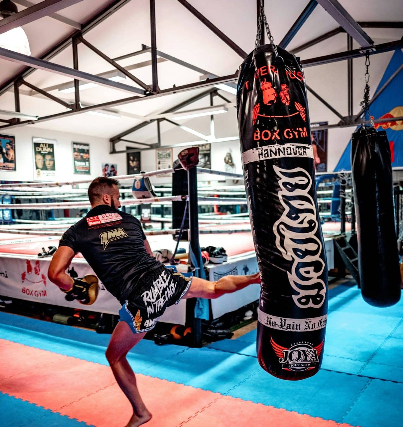 Increasingly in our culture, Biblical Christians are the piñatas, the punching bags, of society.