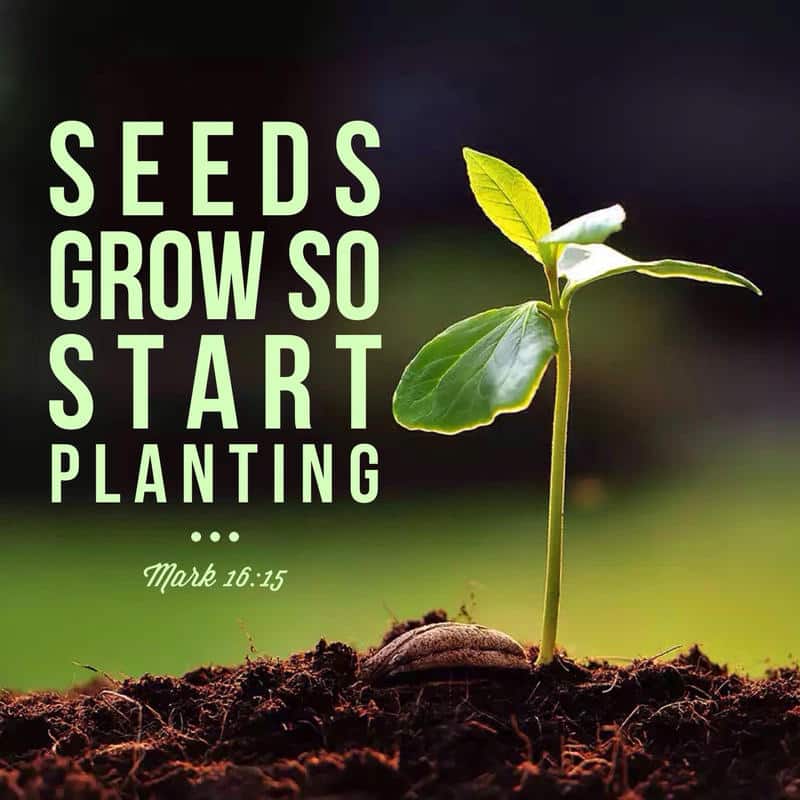 Sow Seeds of Faith