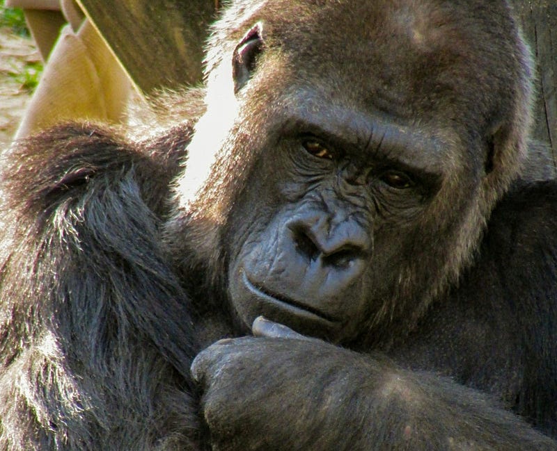 I don’t agree with the Bible