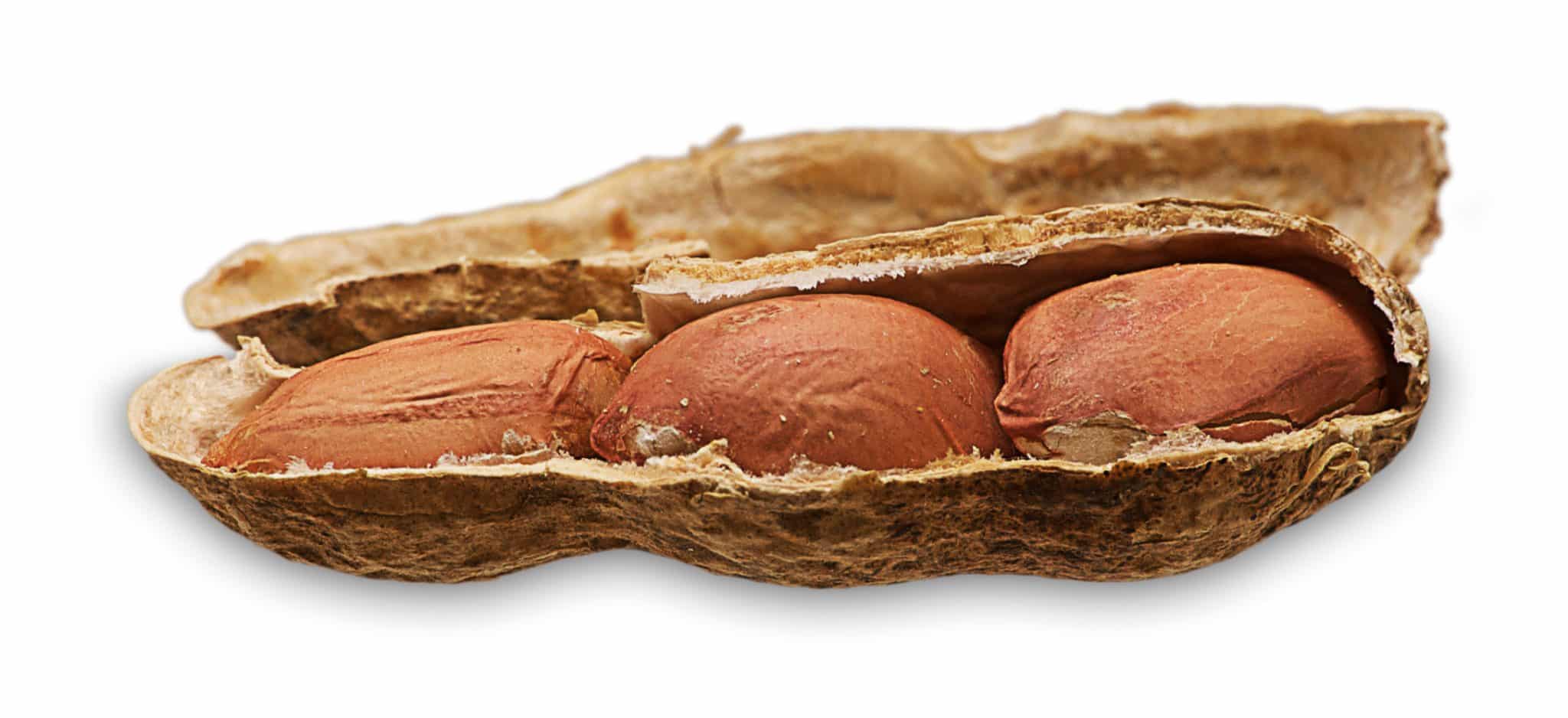 Believe in God / Love your Neighbor / Go to Heaven