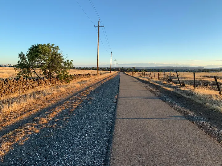 Who Do You Think You Are